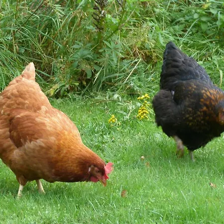 D'hotes La Fougeraie Nocleg ze śniadaniem Malvières