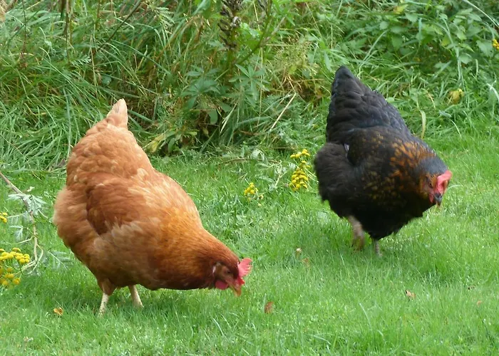 D'hotes La Fougeraie Отель типа 