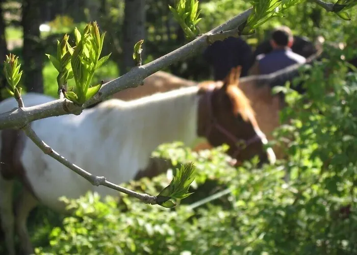 D'hotes La Fougeraie 3*